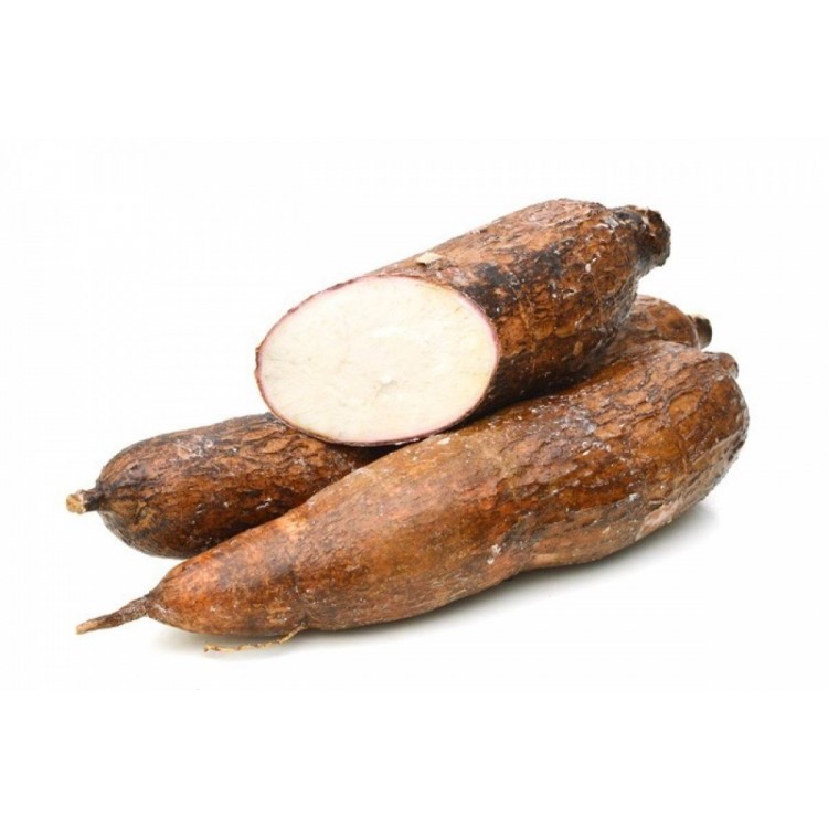 YUCA (LIBRA)