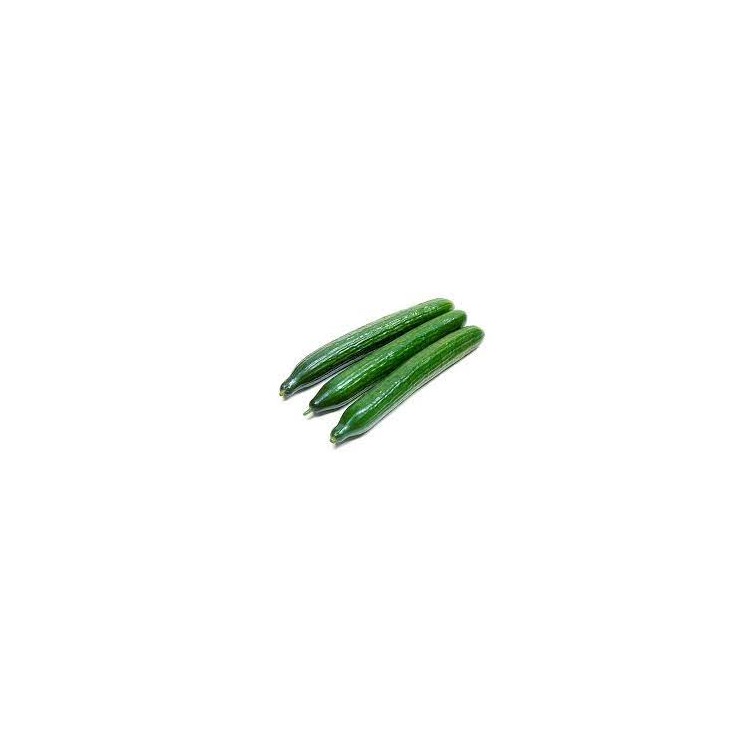 PEPINO EUROPEO (UNIDAD)