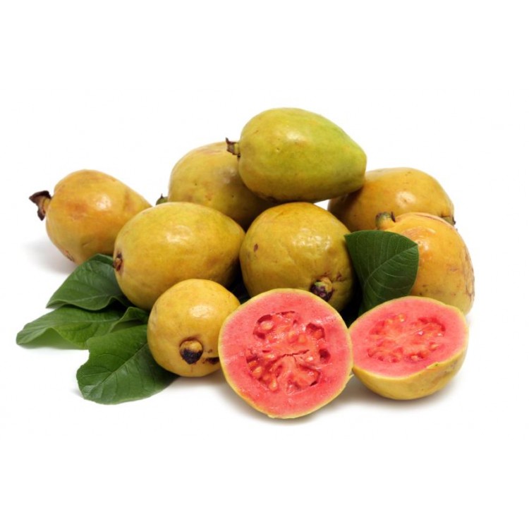 GUAYABA DULCE   ( 6 LIBRAS )