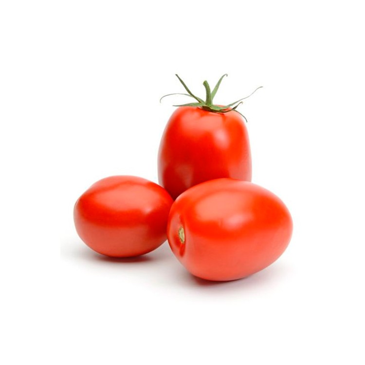 TOMATE UVALINA ( LIBRA)