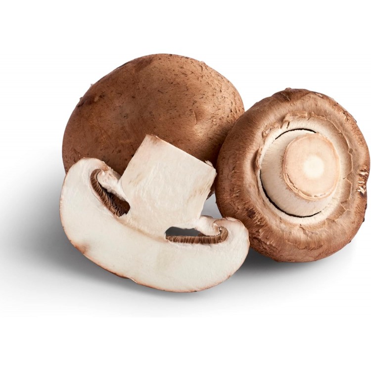 CHAMPIÑON PORTOBELLO (1000GR) CHAMPIÑON PORTOBELLO (1000GR)